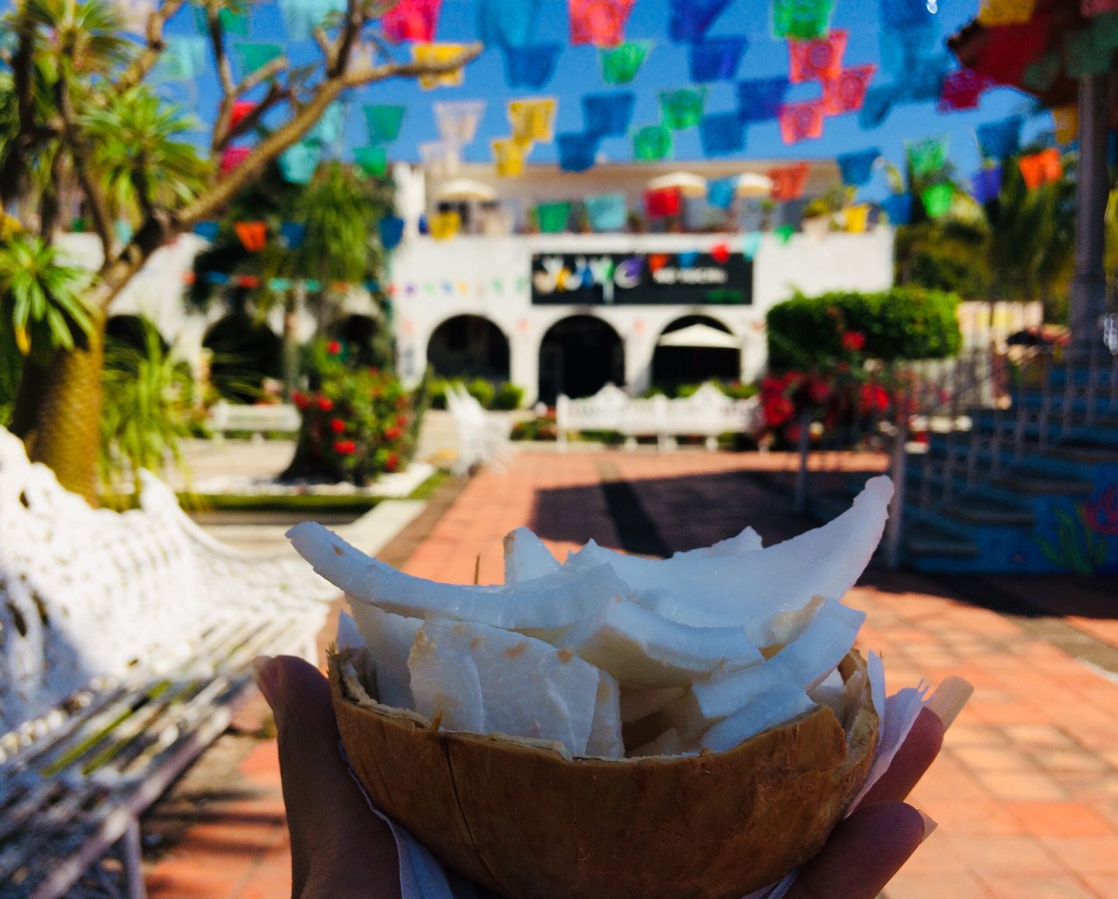 The Underground Railroad: From The US to Mexico