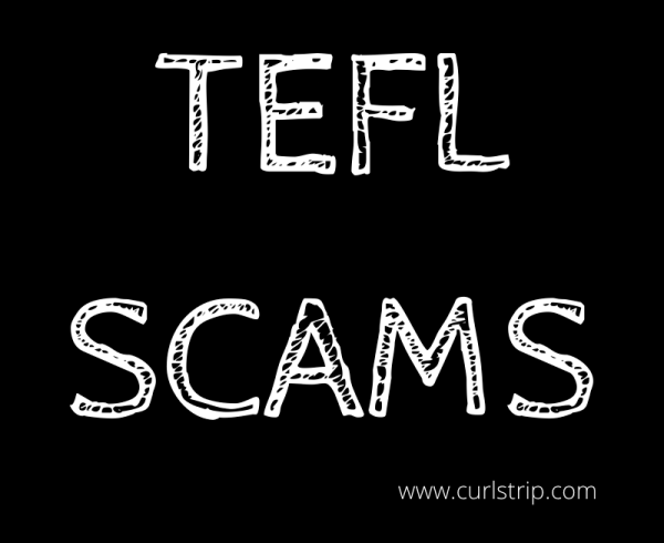 TEFL Scams Graphic-Curls Trip